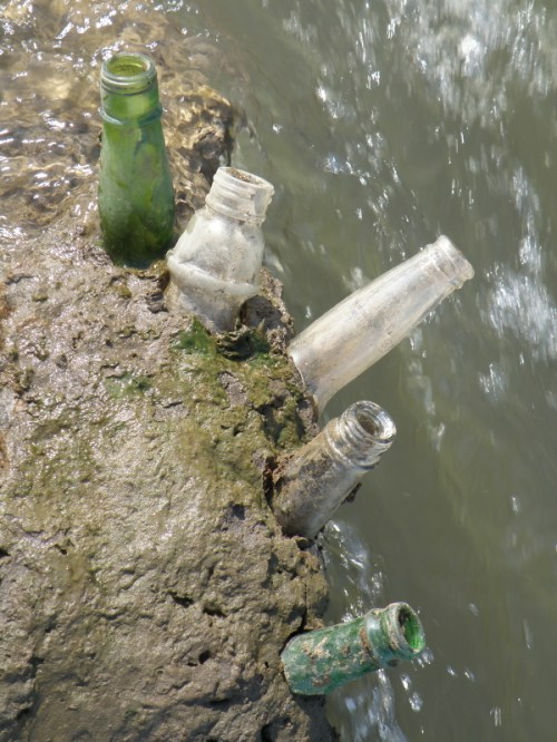 glass bottlenecks stuck in the mud at the water's edge, 2013