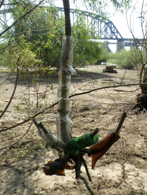 glass bottlenecks on driftwood tied to a branch, 2013