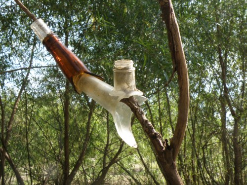glass bottlenecks on a willow branch, 2013