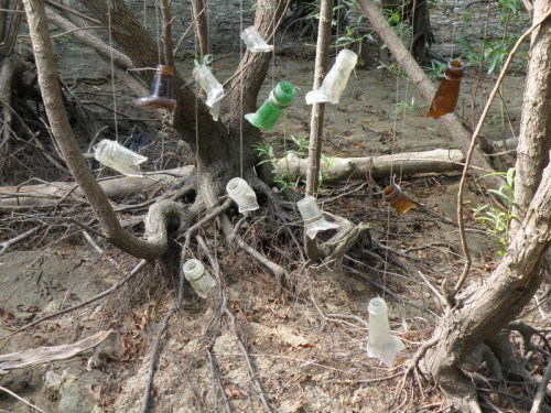 various glass bottlenecks suspended on fishing line, 2013