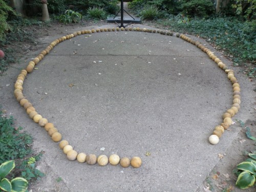 softball cores in my backyard, Oct. 2013