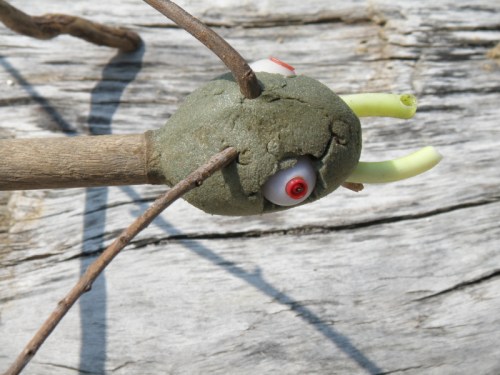 detail, head of the Falls Phasmid Stick Insect, October 2013