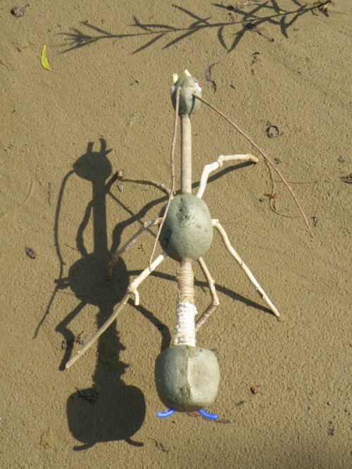 aerial view of Falls Phasmid, Oct. 2013