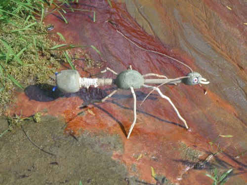 Falls Phasmid in the wetlands area, Oct. 2013