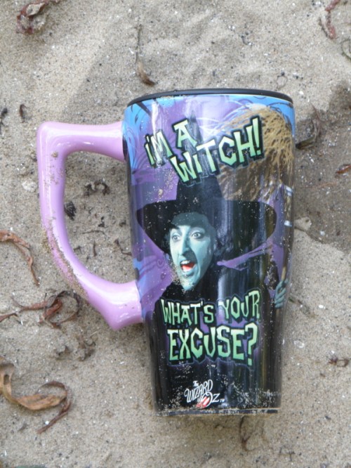 plastic witch cup, Falls of the Ohio, Oct. 2013