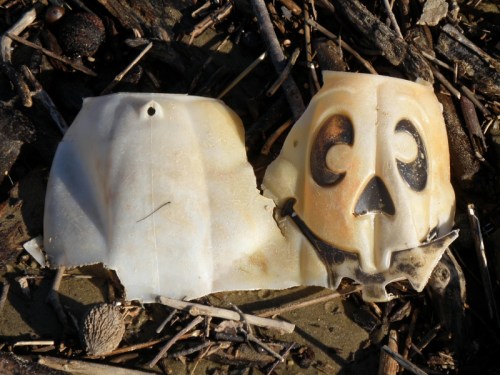 destroyed plastic jack-o-lantern, Oct. 2013
