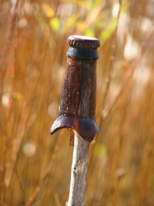 beer bottleneck with cap on stick, 2013