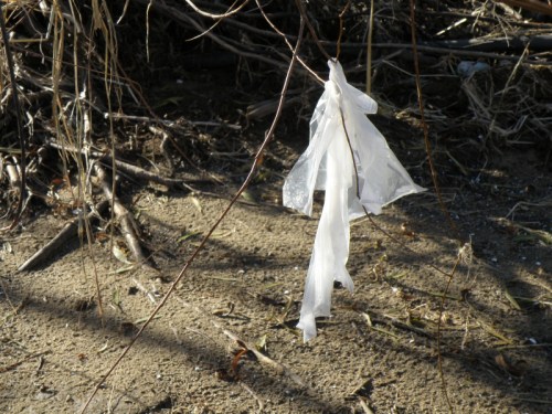 plastic "apparition" at the Falls, Oct. 2013