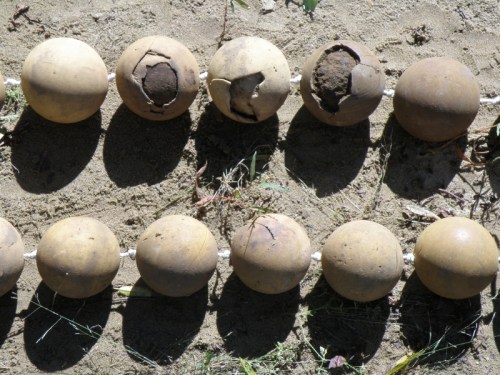 weathered softball cores, Oct. 2013