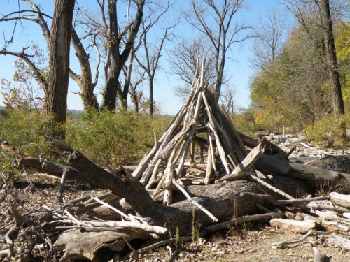Stacked wood, Falls of the Ohio State Park, Nov. 2013