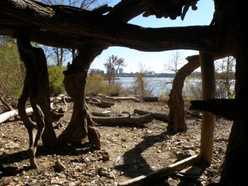 Under the Cottonwood tree, Nov. 2013