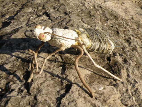 Golden Hour Ground Beetle, Falls of the Ohio, Nov. 2013