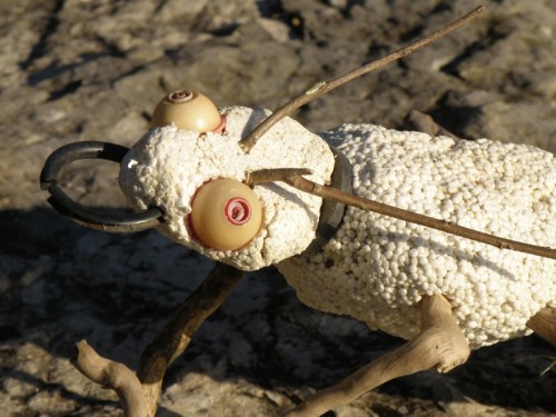 detail of head from Golden Hour Ground Beetle, Falls of the Ohio, Nov. 2013