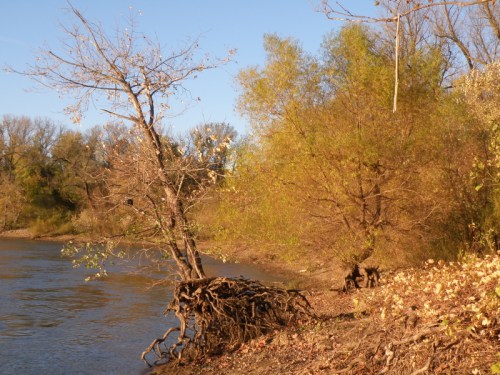 The Golden Hour at the Falls of the Ohio State Park, Nov. 2013