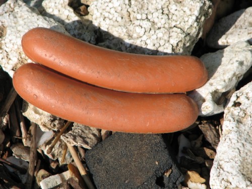 conjoined plastic hot dogs from the Falls of the Ohio