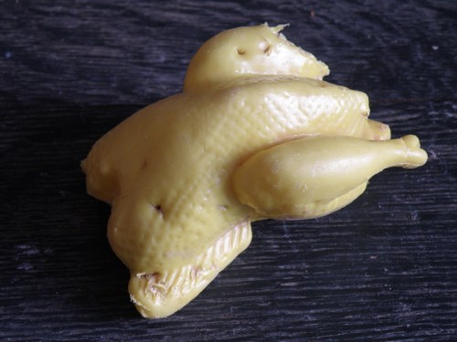 chewed up, plastic roast fowl, Nov. 2013