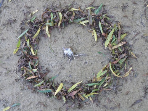 Mouse/willow wreath, 2013