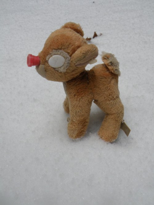 Rudolph the Hex-bolt Nosed Reindeer on the snow, Dec. 2013