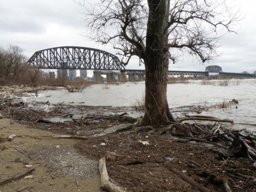 high water Falls of the Ohio landscape, just downriver from the railroad bridge, Dec. 2013
