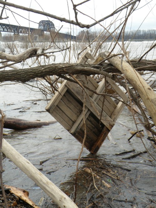 wooden pallet in the trees, Falls, Jan. 2014