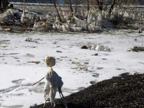 The Ice Tourist, Falls, Jan. 2014