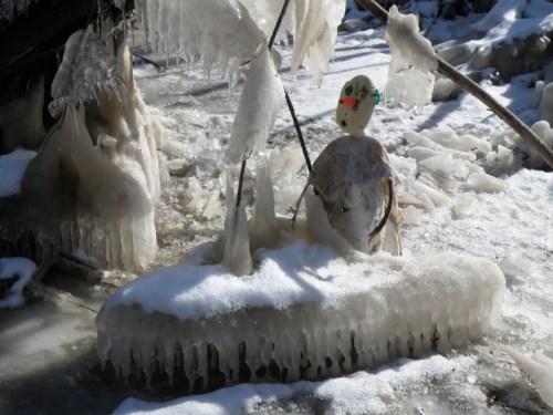 Ice Tourist and ice formation, Jan. 2014