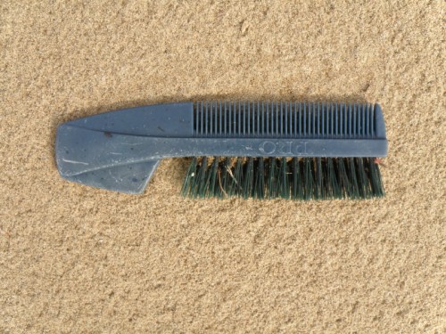 comb from a vacuum cleaner, March 2014