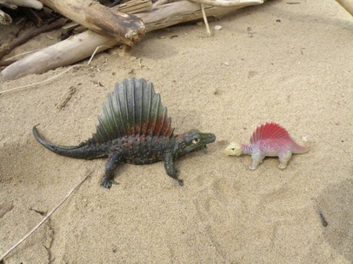 two found plastic dinosaur toys, March 2014