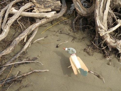 River Roller investigating willow roots, March 2014