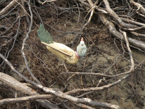 River Roller among the willow rootlets, March 2014