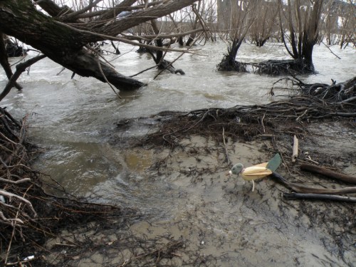 River Roller at the Falls of the Ohio, March 2014