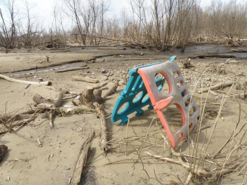 View at the Falls of the Ohio, March 2014