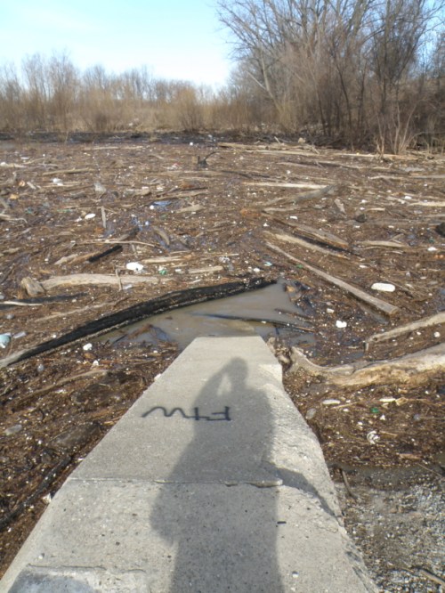 high river at the Falls, Feb. 2014
