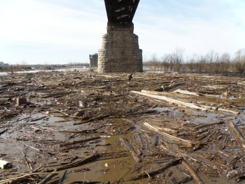 muddy, high water at the Falls of the Ohio, Feb. 2014