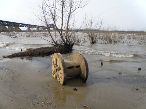 wooden cable spool and willow tree, Falls of the Ohio, March 22, 2014