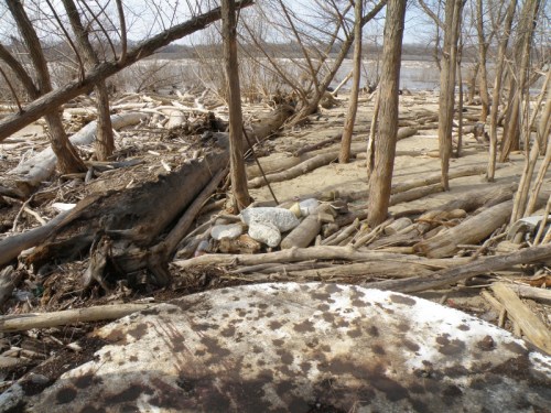 U.F.O. studio, Falls of the Ohio, March 2014