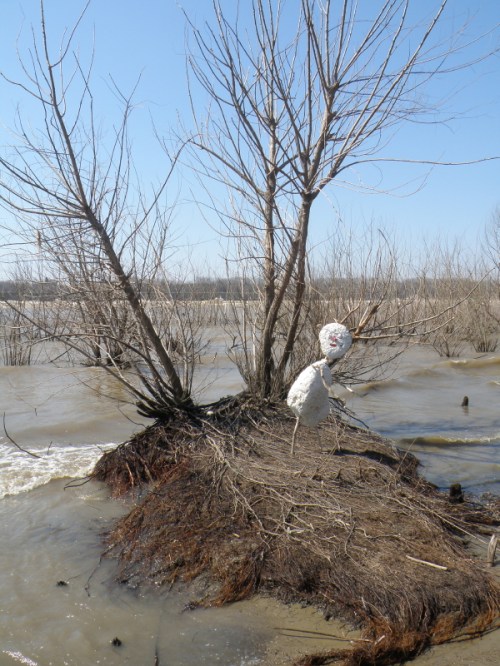 Styro-figure on tiny willow island, Falls of the Ohio, March 2014