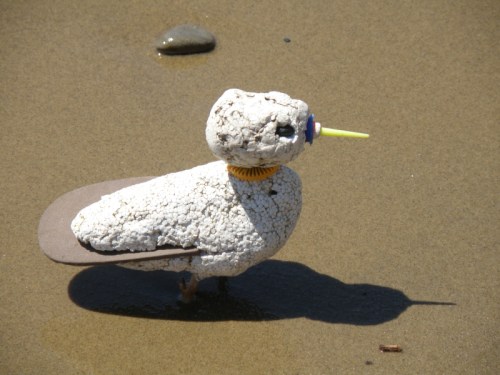 Orange-collared Piper at the Falls of the Ohio, April 2014