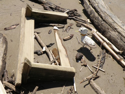 Orange-collared Piper, Falls of the Ohio, April 2014