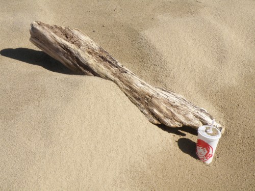 Sand, driftwood, and disposable drink cup, Falls of the Ohio, April 2014