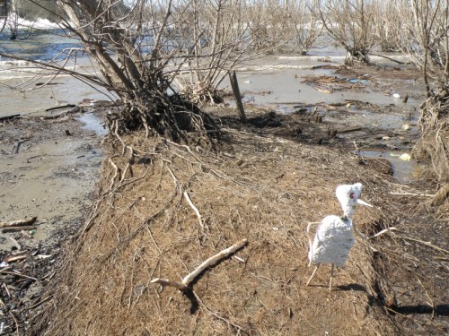 Mr. Mosquito Nose at the river's edge, April 2014