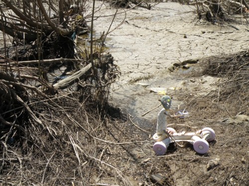 Sand Rover at the Falls of the Ohio, May 2014