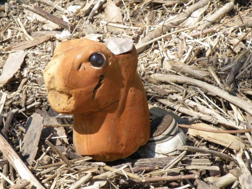 partial, artificial deer head, May 2014