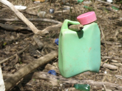 small, plastic container, Falls of the Ohio, May 3, 2014