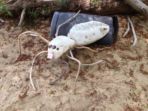Great Wolf Spider, Falls of the Ohio, June 2014
