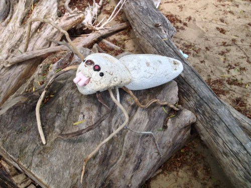 Great Wolf Spider on a stump, Falls of the Ohio, June 2014