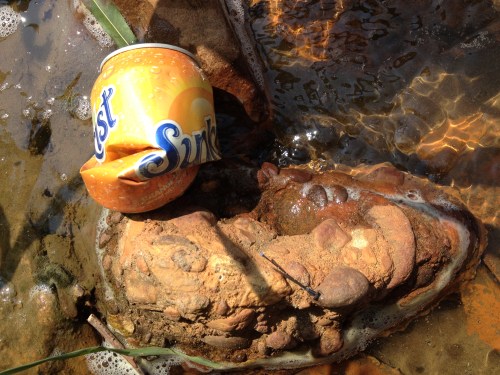 Soft drink can in the water, Aug. 2014