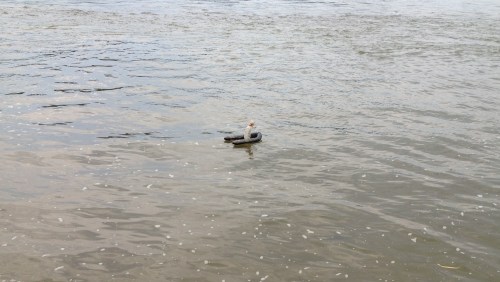 Micro Polo alone on the ocean, Aug. 2014, Falls of the Ohio