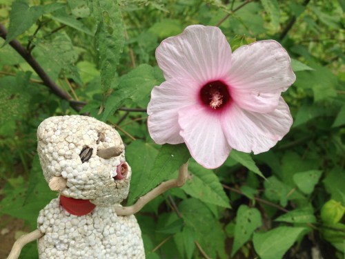 Micro Polo next to giant Rose Mallow, Falls of the Ohio, Aug. 2014