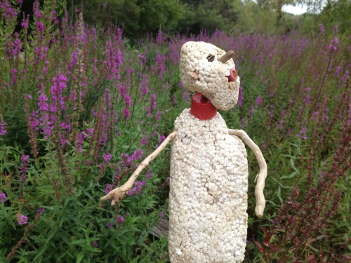 Micro Polo and field of giant loosestrife flowers, Falls of the Ohio, Aug. 2014